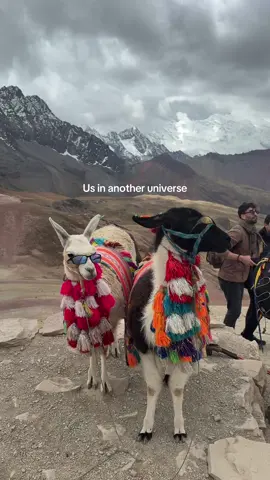 I want to be them 
