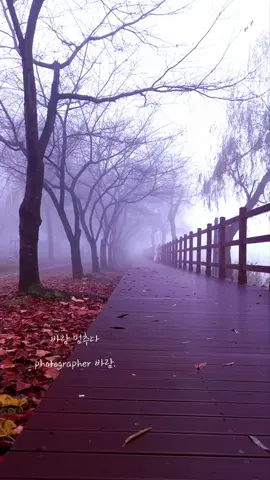 다시. . . 그 길에서다