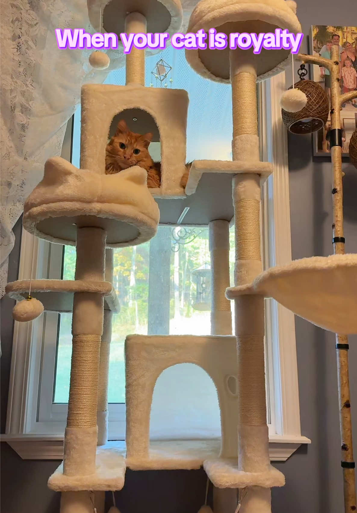 Our furbabies deserve the best #cattree #cattower #catlover #yitahomecattree #tiktokshopfalldealsforyou  