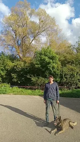 #zzzzzzzz#azia #frelon #ouille 