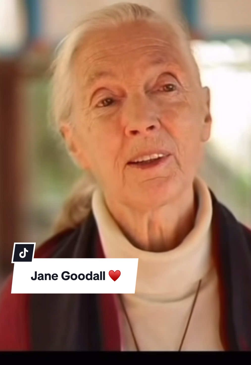 Edit to add: She was born on April 3 not 23rd. ♥️ Jane Goodall did such important work defending animals and the environment. She was one of the people who made me fall in love with animals. I wouldn’t want to be in a world without dogs, either. May her memory be a blessing and a revolution. ♥️ #janegoodall #dogsoftiktok 