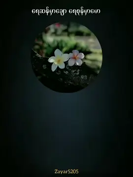 #tiktoktrend #ရေဆန်မှာချောရေစုန်မှာမော▶စိုင်းထီးဆိုင် #music #lyrics #Zayar5205 