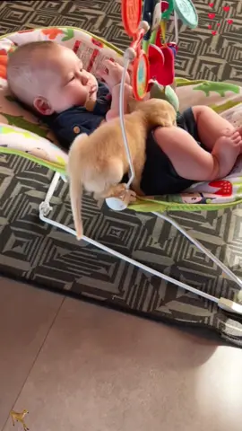 Dog love stay with baby @#dog #pet #baby #bestfriend