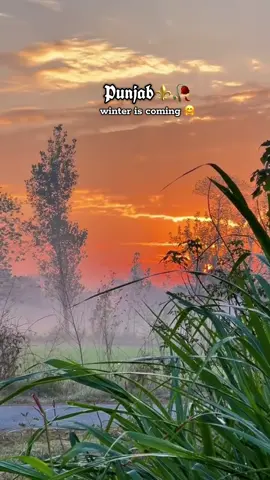 سردیوں کی شام❤️‍🔥||winter is coming 🤗punjab in next few days#forupage #viral_video #wintervibes #پنجاب #پنڈاں_والے👑 
