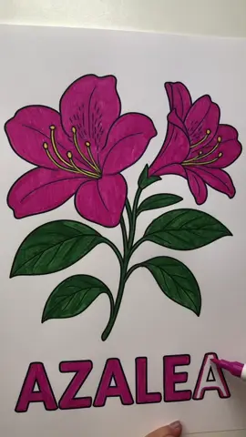 Color with me🎨🌈🌸✨  #coloringbook #relaxingart #arttherapy #drawing #ColorVibes 