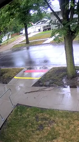 Terrible lightning instantly destroyed tall trees #lightning #lightningstrike #tree #satisfying #oddlysatisfyingvideo #fyp #foryou #weather #usa 