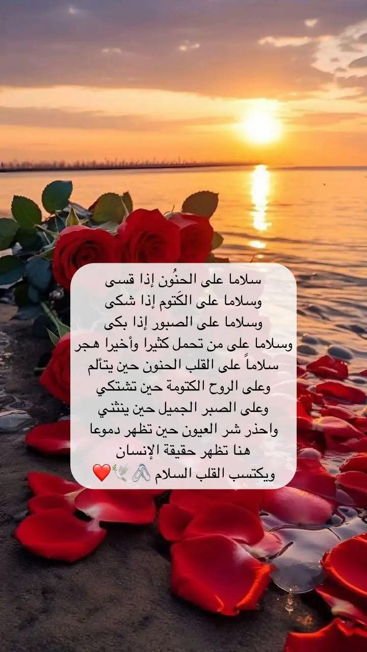 #creatorsearchinsights #tiktok #viral #سلام #اكسبلور