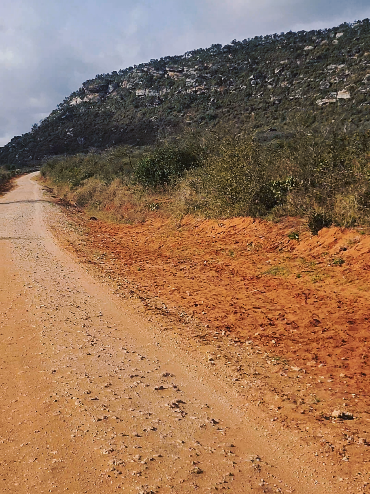 Parts of Kwale  #tourkenya #viral #tiktoktanzania🇹🇿 #fyp #kenyantiktok🇰🇪 