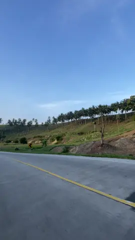 Cuma ada di pangkal sumatera #lampung #fyp 