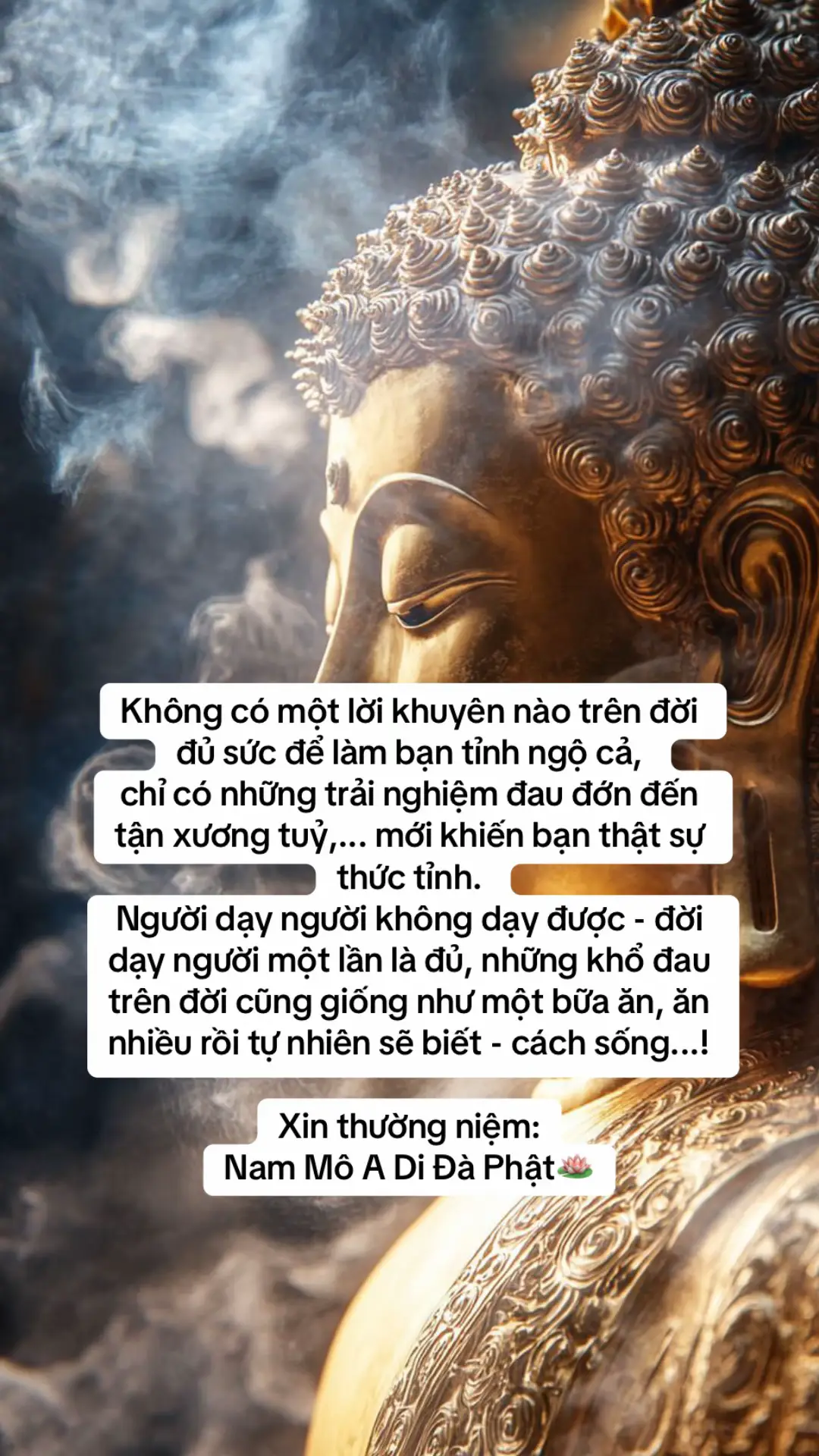 #tinhtam #phatphapnhiemmau #nhungloiphatday #nammoadidaphat #phatphap 