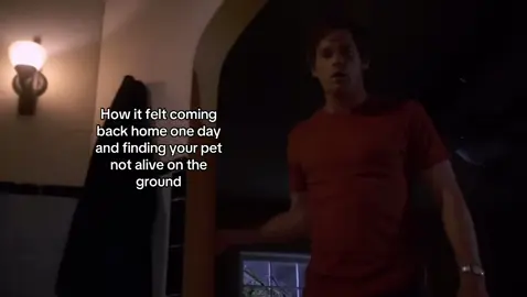 😕 #dexter #relatable #giftok #fyp #real 