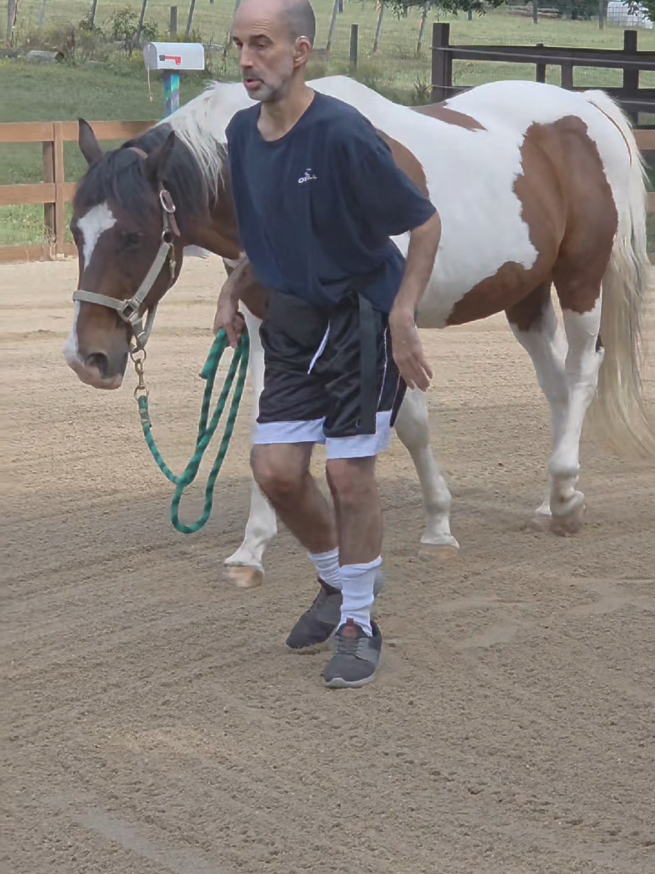 Horses have a way of meeting us right where we are. Tag a friend who needs this reminder! #HorseTok #PerfectMoment 