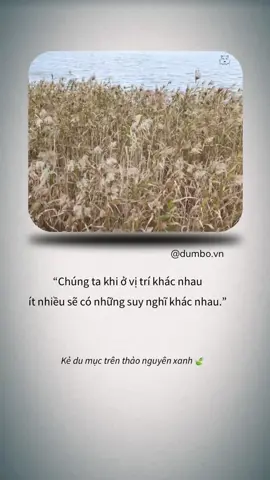 Chúng ta khi ở vị trí khác nhau, ít nhiều sẽ có những suy nghĩ khác nhau.🍃 #dumbo #fyp #viralvideo #baihoccuocsong #binhyen