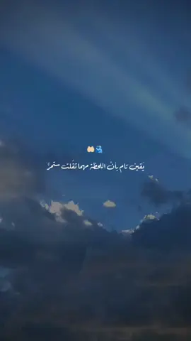 🕊️🤍
