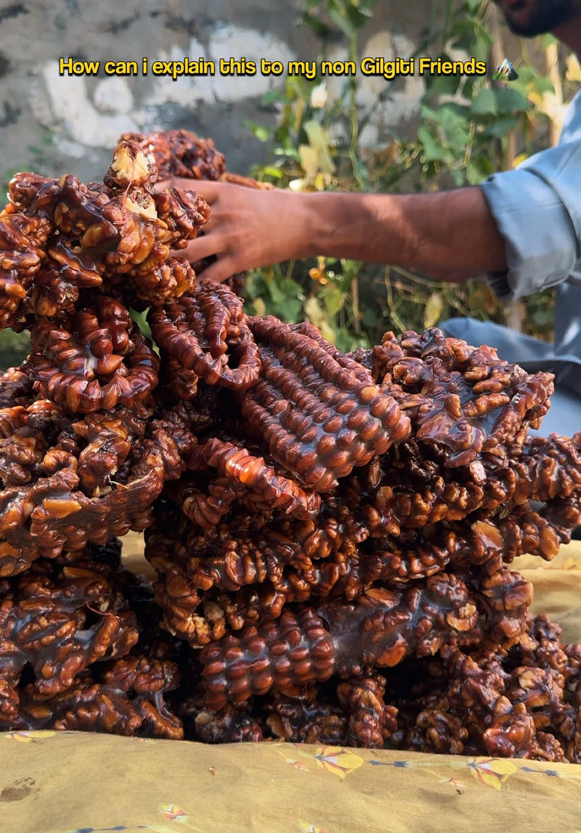 How do i even explain this to my non Gilgiti friends? 🏔️ . . . #mountains #villagelife #alishanbaig #kilao #gilgit 