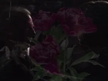 Sin and Sorrow Sol #bettercallsaul #fyp #saulgoodman #viral #aesthetic 