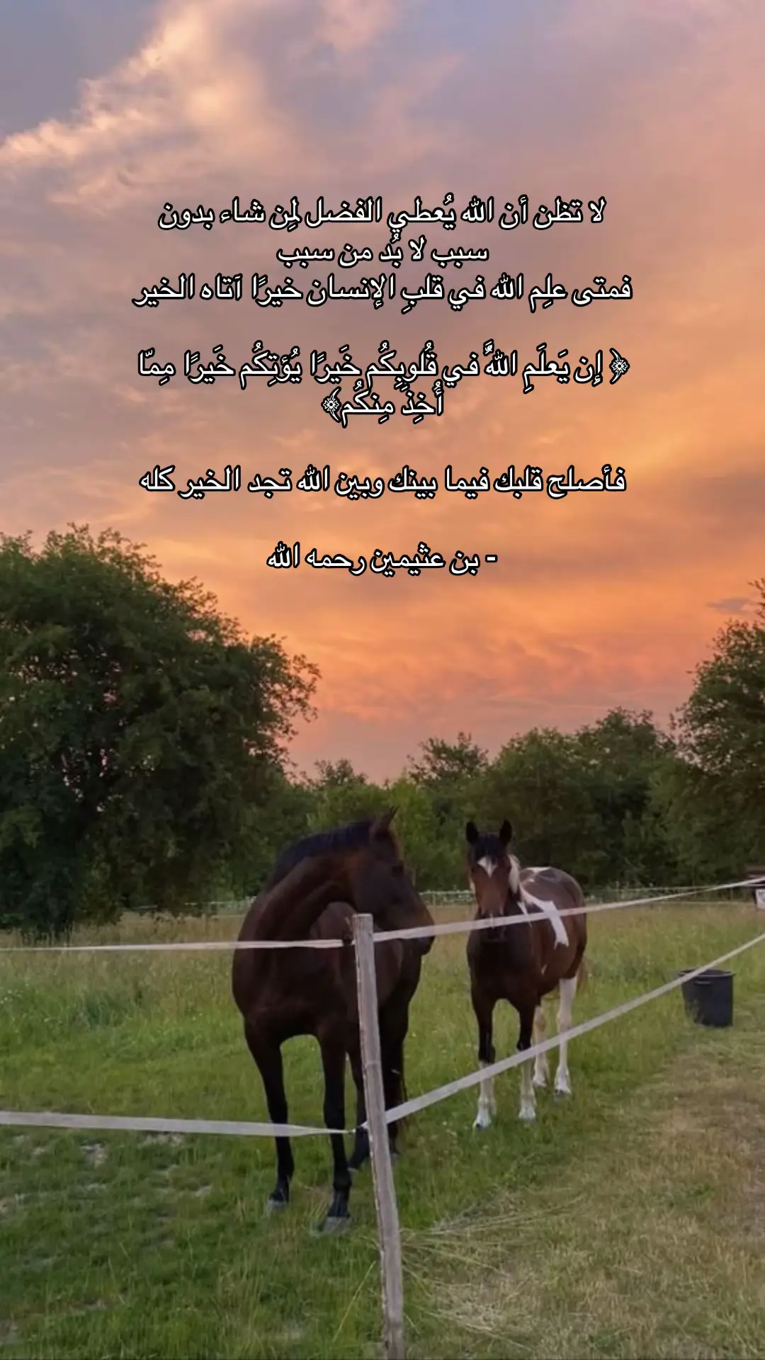 #استغفرالله #سبحان_الله #اذكروا_الله #oops_alhamdulelah 