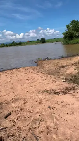 Team San rô phi cụ # báo cá nha ae 🎣