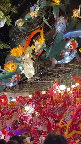 Bích Decor tại phố Hàng Mã cận kề Tết Trung thu rực rỡ sắc màu lồng đèn #xuhuong #viral #trungthu2025 #longdentrungthu #hangma 
