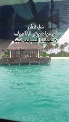 #اكسبلور #الشعب_الصيني_ماله_حل😂😂 #جدة #اكسبلورexplore #كوميدي 