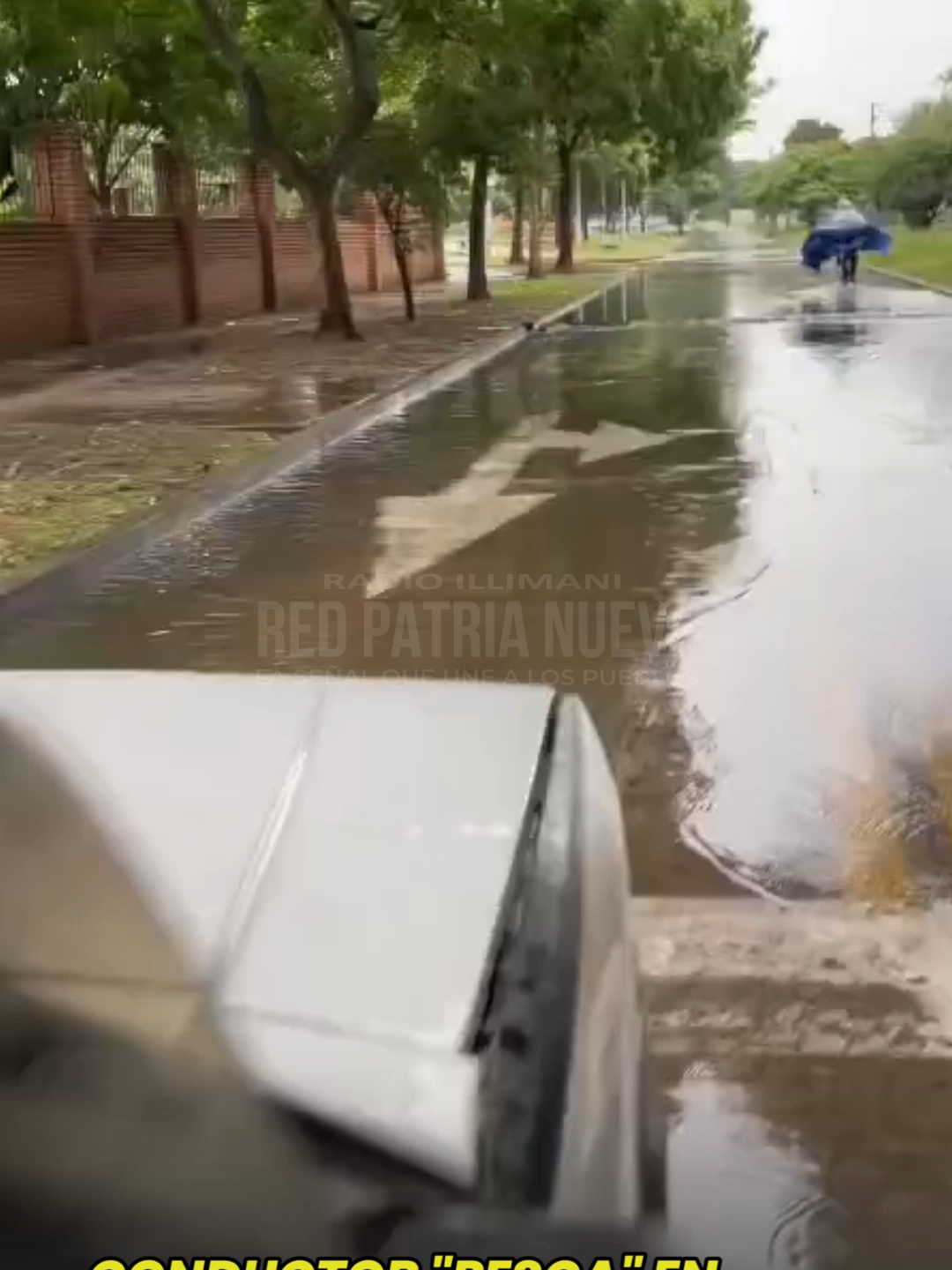 EN SANTA CRUZ HASTA LOS PECES SALEN A LAS CALLES #bolivia🇧🇴 #santacruzdelasierra🇳🇬 #locango #pesca #lluvia
