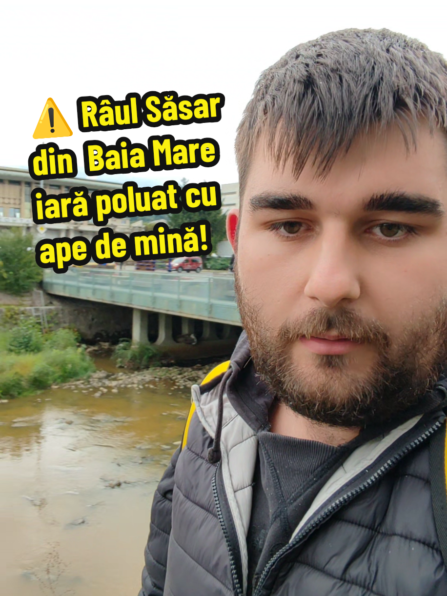 #baiamare #sasar #poluare #mina #metalegrele 
