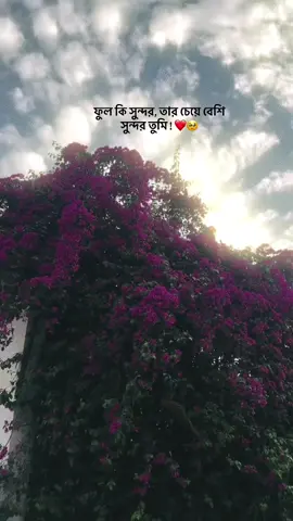 বলার মানুষই নেই এটা 🙂💔