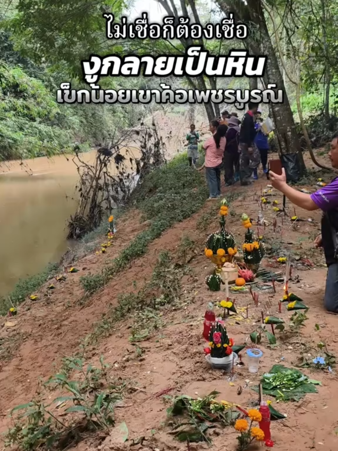 #งูกลายเป็นหิน #เข็กน้อยเขาค้อเพชรบูรณ์ #กระแสมาแรง  #หินมงคล #เพชรบูรณ์ 