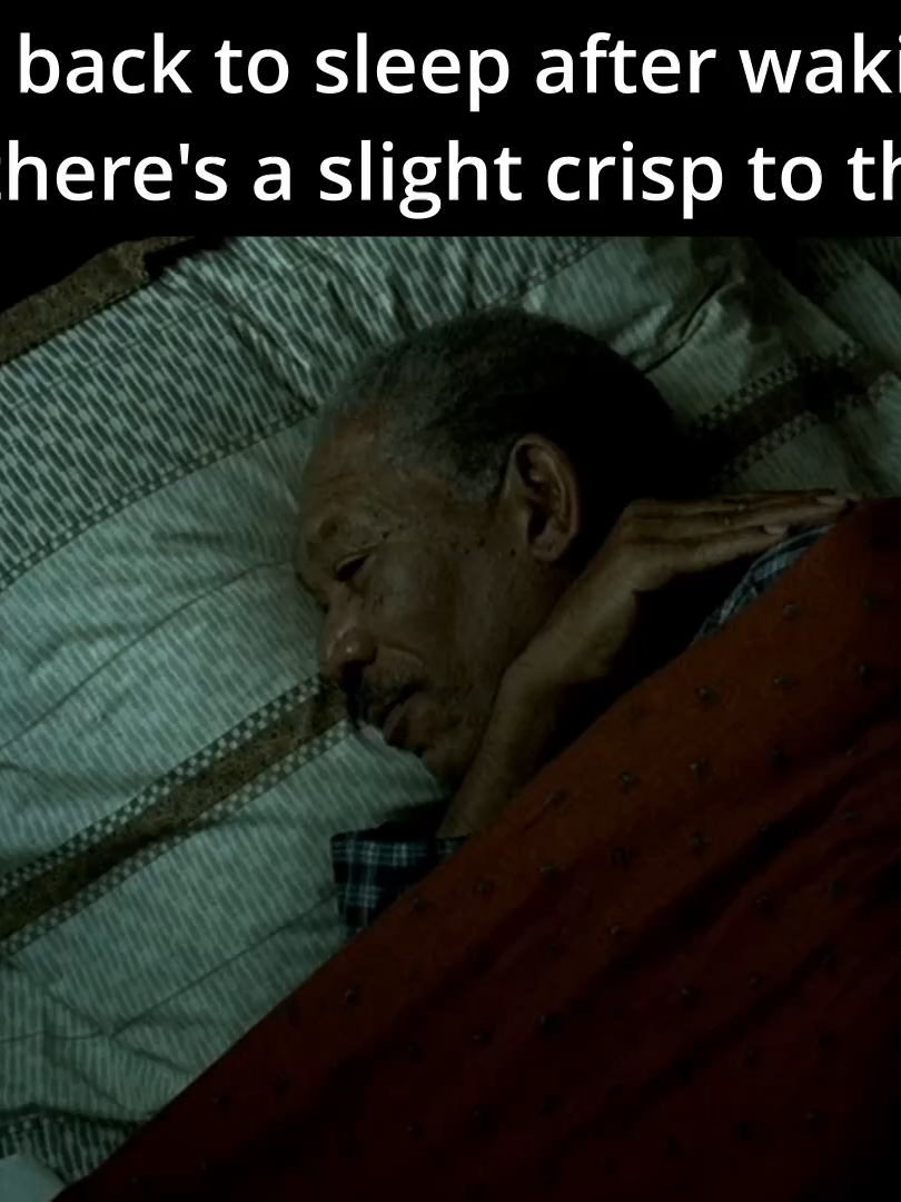 The only thing better than waking up in America, is going back to sleep for a little snooze when the season starts to get a little chilly outside. #usa #itsfallyall #morganfreemanmeme #meme