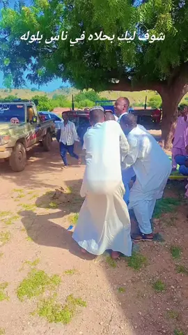 #قدااااااااااااااااااام #لقول #القايد 