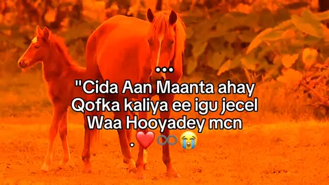 Mom😭❤️ .......... ##foryou ##viral ##foryoupage ##grow ##fyp 