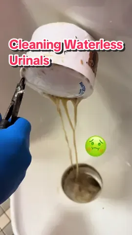 Cleaning and replacing the cups in our waterless urinals. If you’re thinking about installing waterless urinals, DON’T. They are gross, they always stink, and we hate them. The school we work at thought it would save them money because less water is being used, but I’m not sure they’re saving anything time you pay for replacement cups and special cleaners. Not to mention the extra water it takes to clean them up compared to a regular flushing urinal. Don’t recommend! • #cleaning #janitor #asmr #bathroom #gross 