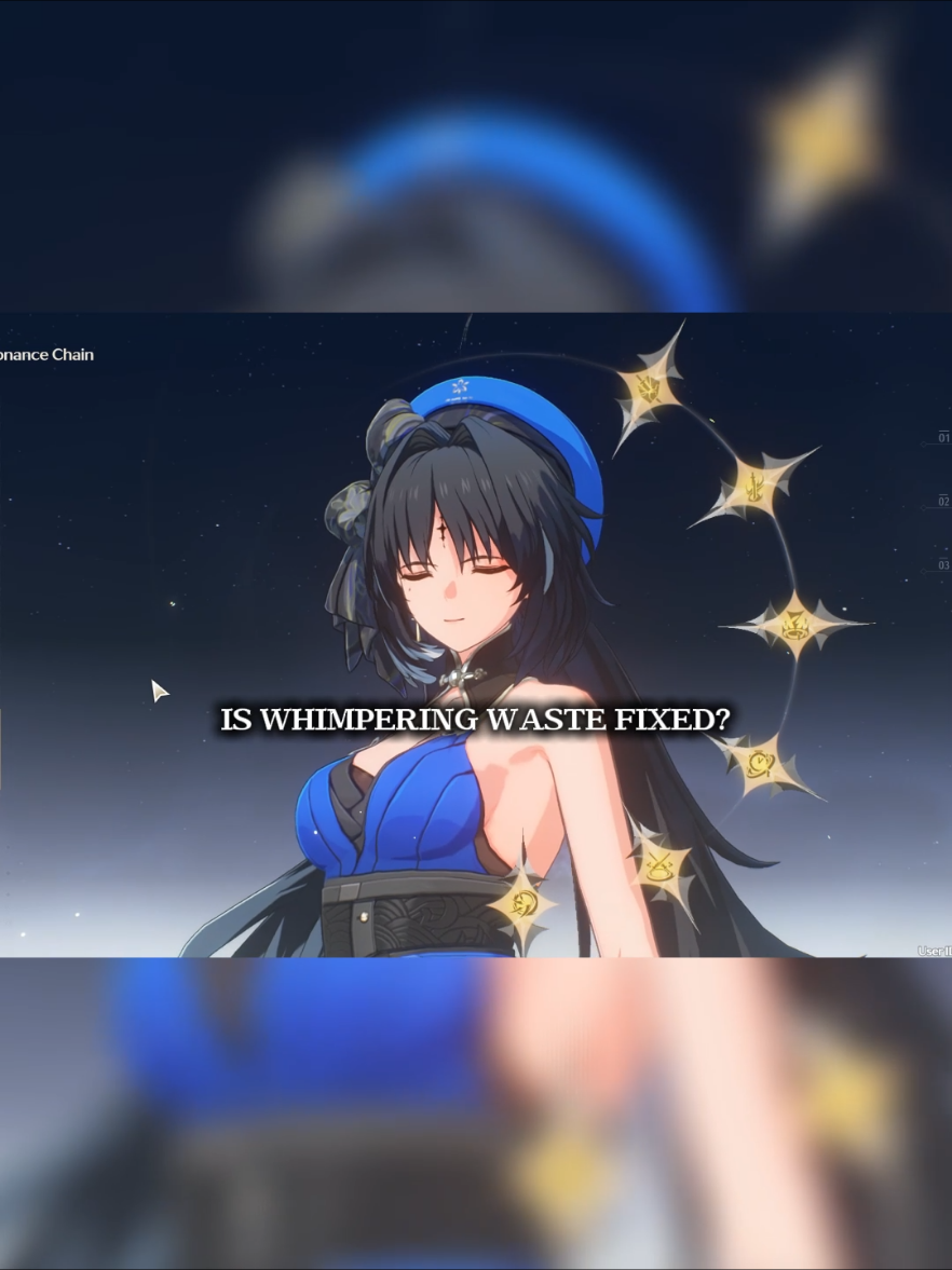 Everyone S0R0 .. #wutheringwaves #kurogames 