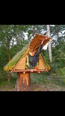 Building a Survival Shelter on an Old Rotten Stump. Secret Wooden Hut. Bushcraft. Survival#shelter #treehouse #forest #survival 