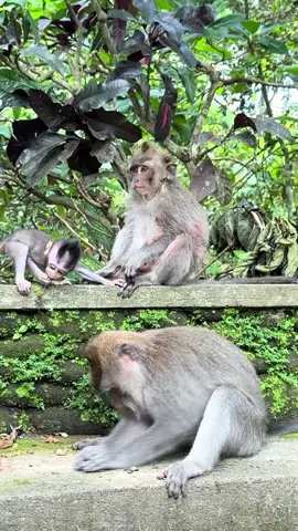 Fire making class for beginners 