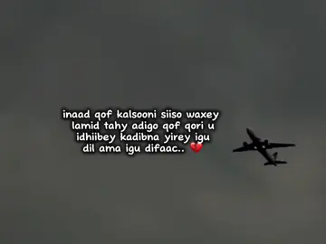 Really 💔 #ciyaalxamar #lander #foryoupage #fyp #foryuo 