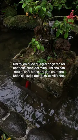 …#tamtrang #story 
