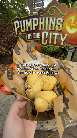 Rating everything we tried at @Silver Dollar City Crafts & Harvest Festival on their fall harvest tasting pass. One pass will get you five items on their list of things to try. Most of these items are full-sized and you definitely get your moneys worth. 