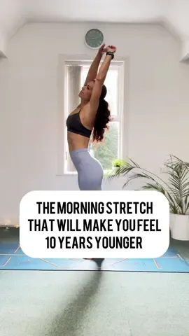 ✨ Morning Stretch ✨ Loved this routine? Comment ‘morningstretch’ and I’ll send you the link to the real-time video! Start your day feeling amazing with this quick stretch routine: 1.Neck Rolls - 8 reps 2.Seated Side Stretches - 3 rounds 3.Seated Twist - 2 each side 4.Cat-Cow - 5 reps 5.Thread the Needle - 3 each side 6.Down Dog Pedals - 8 reps 7.Low Lunge to Half Splits reps - 3 reps per side 8.Easy Hip Stretch - 5 breaths each side 9.Down Dog Holds - 5 breaths 10.Deep Squat - Hold as long as you can Save this for your next morning routine and share it with someone who needs a great stretch! #morningstretch #dailyyogaflow #yogastretch #mobilityroutine #stretchingexercises     