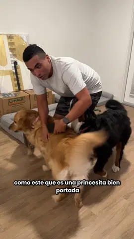 Nuestro nuevo negocio en Estados Unidos!!! Cuidar perritos 😃😃😃