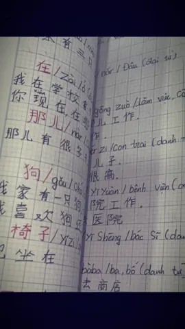 我很喜欢汉语 💪💪 #tieulien98 #hoctiengtrung #cogangtungngay 