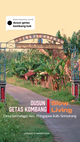 Membalas @xzxrel  🌿 Suasana Dusun Getas Kombang 🌿 Beginilah kehidupan di Dusun kecil yang masih alami… Anak-anak berlarian riang, tawa mereka mengisi sore. Di lapangan, para pemuda sibuk bermain voli dengan semangat. Tak jauh dari sana, ada yang masih sibuk mencari rejeki , serta ada juga yang pergi ke makam untuk mendoakan kerabatnya yg sudah tiada, Inilah Getas Kombang, desa sederhana dengan kehidupan yang hangat, tempat di mana kebersamaan dan alam jadi satu kesatuan. 🏡✨ #suasanapedesaan #fypシ゚ #slowliving #pringapus_karangjati_ungaran_semarang #kampunghalaman 