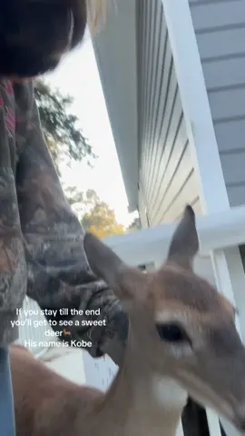 If you stayed till the end ily🫶 that flower is for you🌸 @sjjsjnsndndn this is the hair tutorial you asked for🥹😝 #hair #deer #tutorials #fyp #xyzbca 