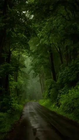 ##اللهم_صلي_على_نبينا_محمد #اللهم_صلي_على_نبينا_محمد #####اللهم_صلي_على_نبينا_محمد 