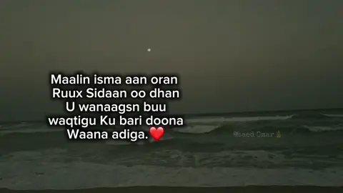 Hduu qofkaa jiro Soo mention gree. #views #saed_omarr #somalitiktok #followers➕ #foryoupage 