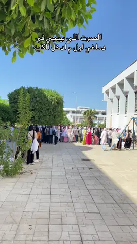 مهما كان دول اخواتنا برضو 🙂😂😂 #جامعة_قناة_السويس #fyp #الشعب_الصيني_ماله_حل😂😂 #tiktok #كلية_الزراعة @Suez.Canal.University 