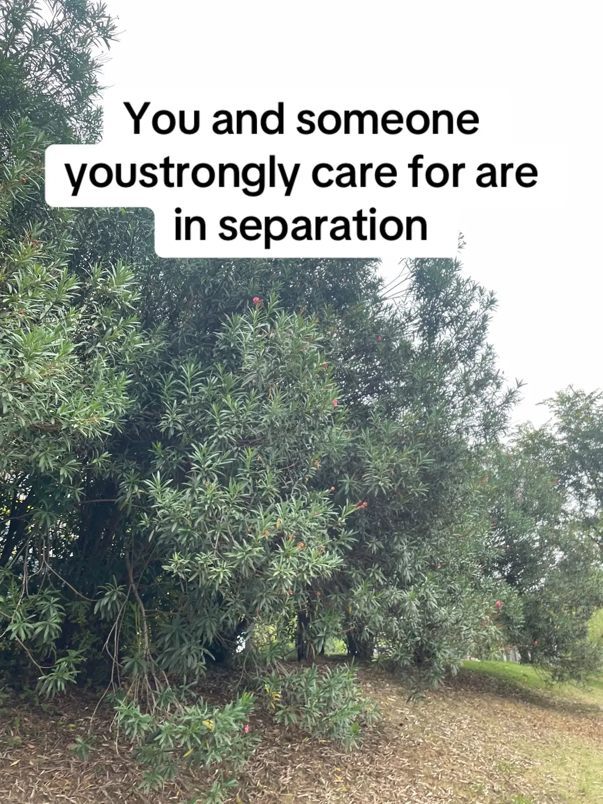 You and someone youstrongly care for are in separation