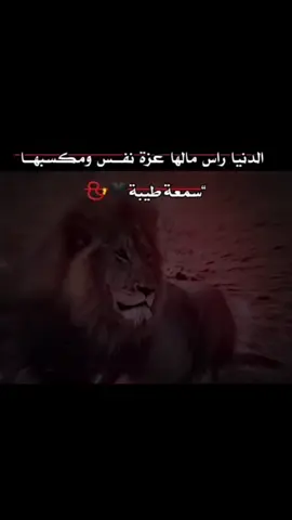#المصمم_كحيلان #ستوريات #تيك_توك #سوريا #ديرالزور 