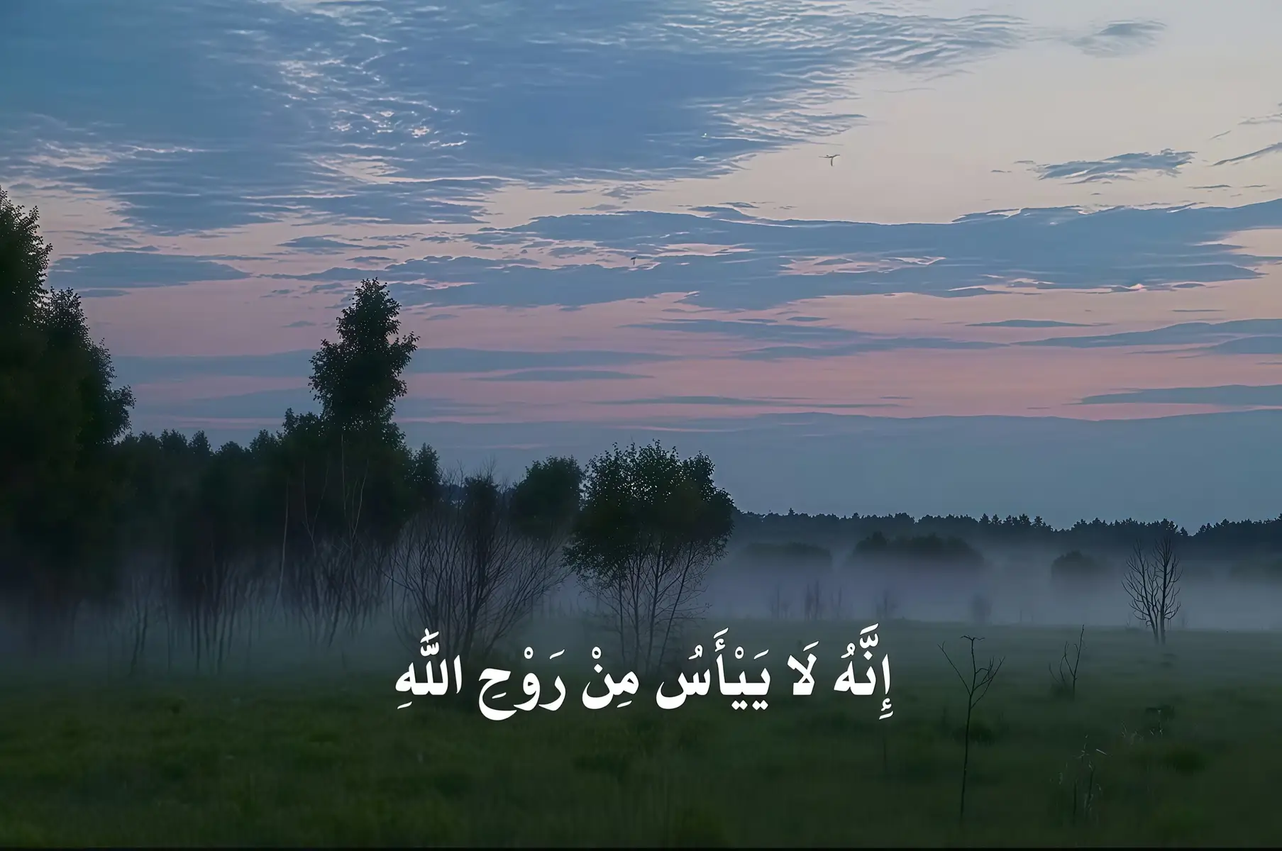 لا تيس من روح الله #fyp #قرآن_كريم #المنشاوي #القرآن_الكريم_راحه_نفسية