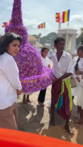 නිල මානෙල් මල් පුජාව #ස්වර්ණමාලී_මහ_සෑ_රදුන් #අනුරාධපුර_අපි❤️❤️🇱🇰  ☸️🤍 #රුවන්වැලි_මහා_සෑය  #srilankan_tik_tok🇱🇰 #srilanka  #traditional 